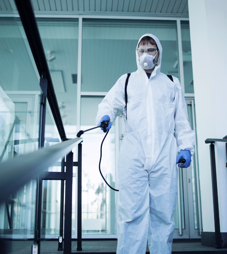 Serviço sanitização externa